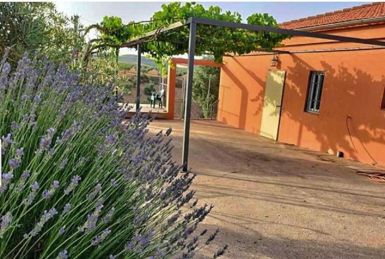 알하마데그라나다 Cortijo Puente Alhama 빌라 외부 사진